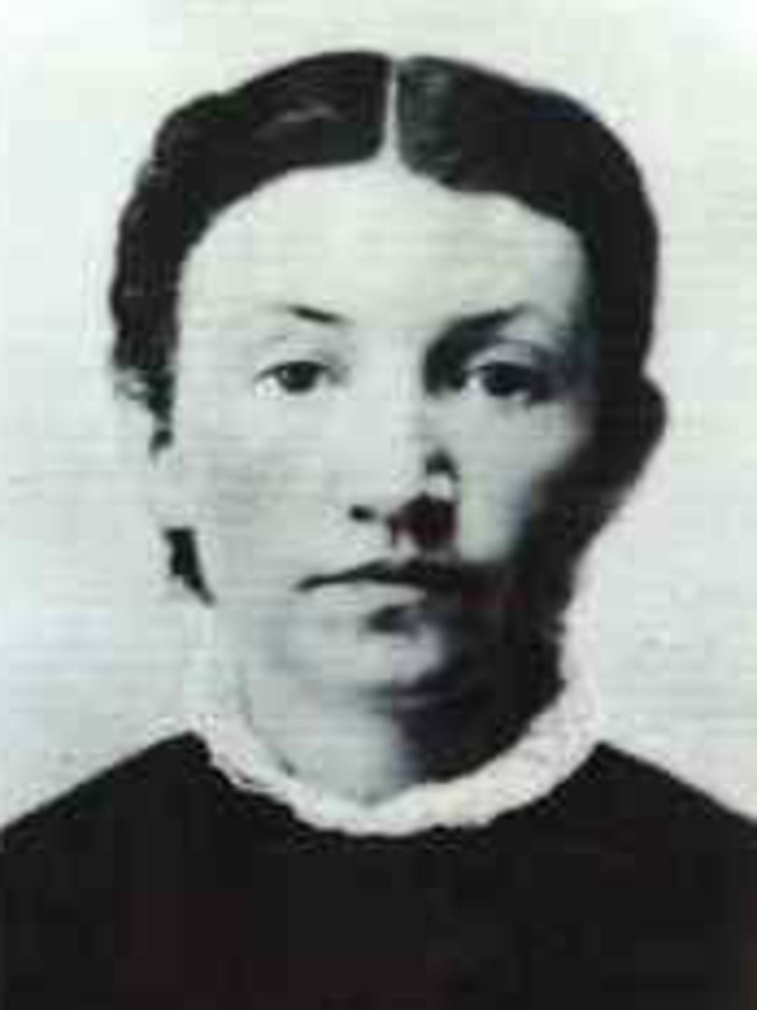 Elizabeth Christina Heiner (1848 - 1882) Profile